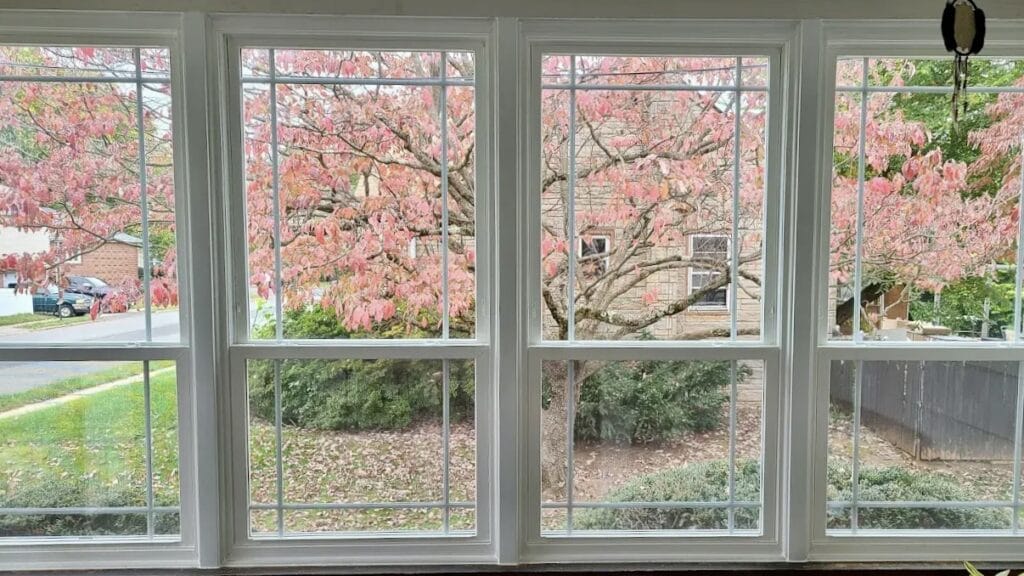 new windows on detroit home